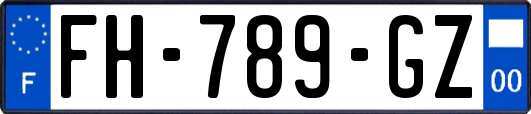 FH-789-GZ