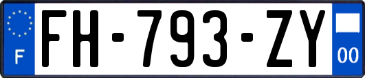 FH-793-ZY