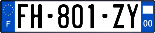 FH-801-ZY