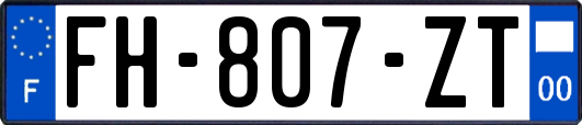 FH-807-ZT