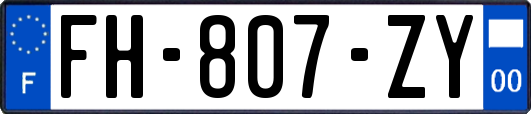 FH-807-ZY