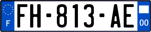 FH-813-AE