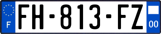 FH-813-FZ