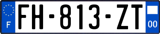 FH-813-ZT