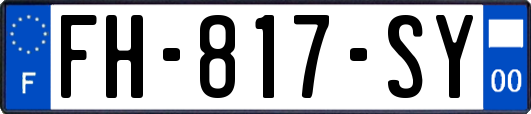 FH-817-SY