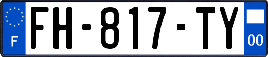 FH-817-TY