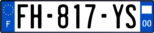FH-817-YS