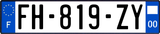 FH-819-ZY