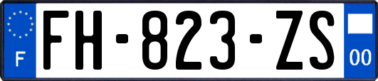 FH-823-ZS