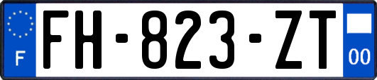 FH-823-ZT