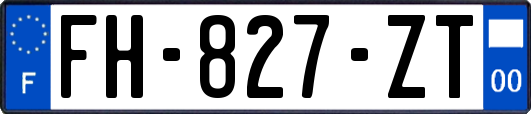 FH-827-ZT