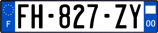 FH-827-ZY