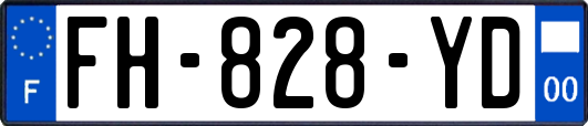 FH-828-YD