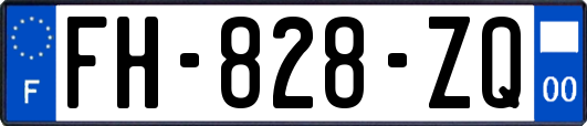 FH-828-ZQ