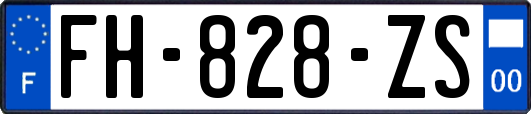 FH-828-ZS