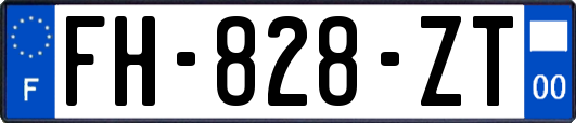 FH-828-ZT