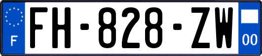 FH-828-ZW