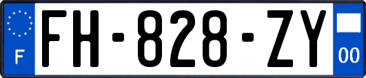 FH-828-ZY