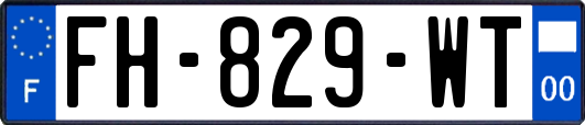 FH-829-WT