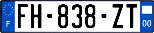 FH-838-ZT