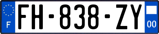 FH-838-ZY