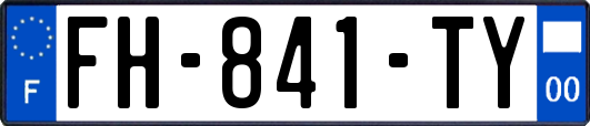 FH-841-TY