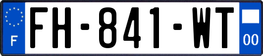 FH-841-WT
