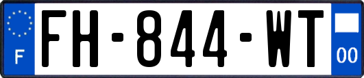 FH-844-WT
