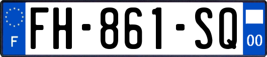 FH-861-SQ