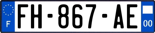 FH-867-AE