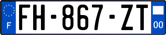 FH-867-ZT