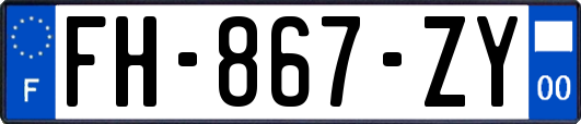 FH-867-ZY