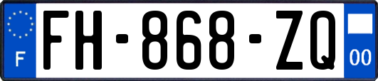 FH-868-ZQ