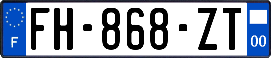 FH-868-ZT