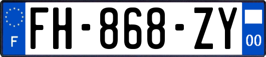 FH-868-ZY