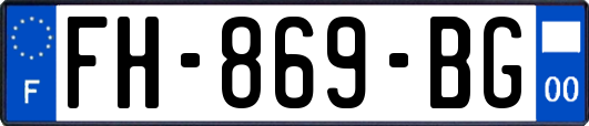 FH-869-BG