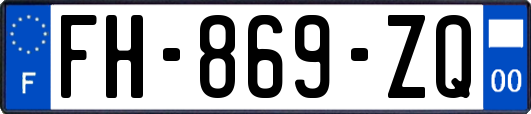 FH-869-ZQ