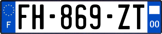 FH-869-ZT