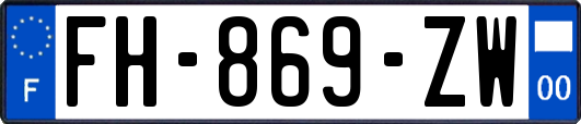 FH-869-ZW