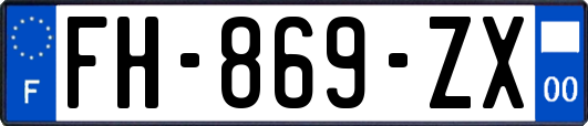 FH-869-ZX