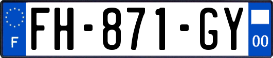 FH-871-GY
