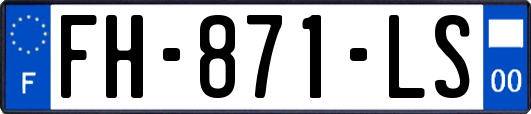FH-871-LS