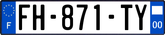 FH-871-TY