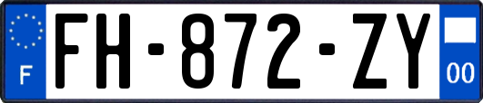 FH-872-ZY