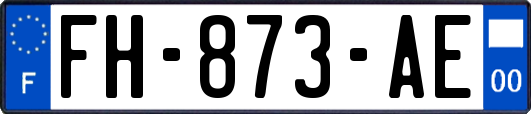 FH-873-AE