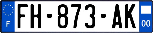 FH-873-AK