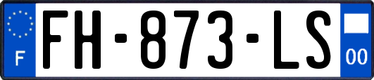 FH-873-LS