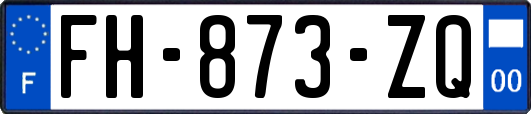 FH-873-ZQ