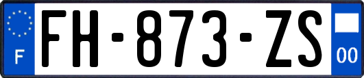 FH-873-ZS