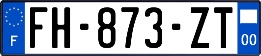 FH-873-ZT